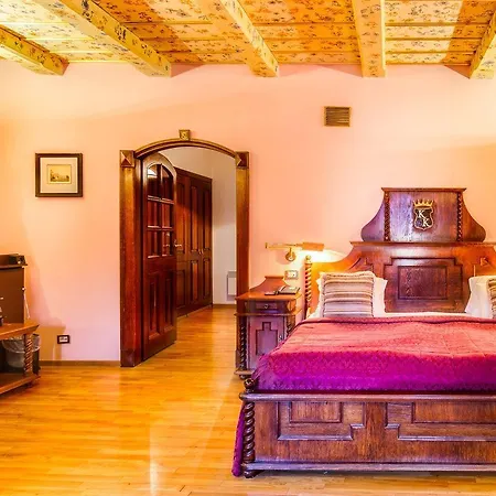 The King Charles Praag